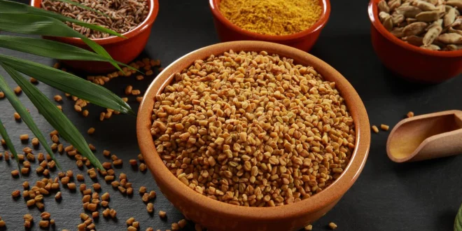 Amazing Beauty And Health Benefits Of Fenugreek Seeds