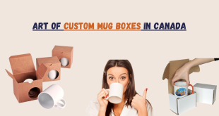 Art Of Custom Mug Boxes In Canada