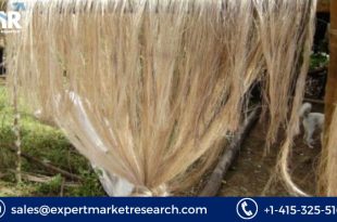 Cellulose Fibre Market