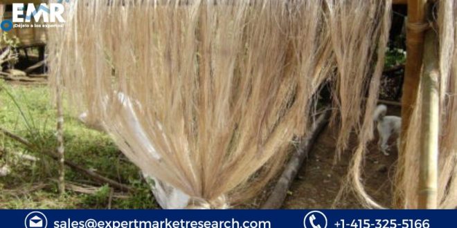 Cellulose Fibre Market