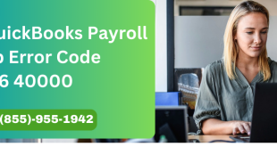 Fix QuickBooks Payroll Setup Error Code 05396 40000