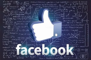 Exploring The Impact Of Facebook Post Likes On Social Media Success