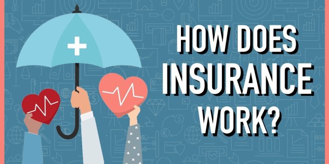 insurance