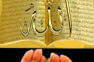 Online Quran Academy In Toronto